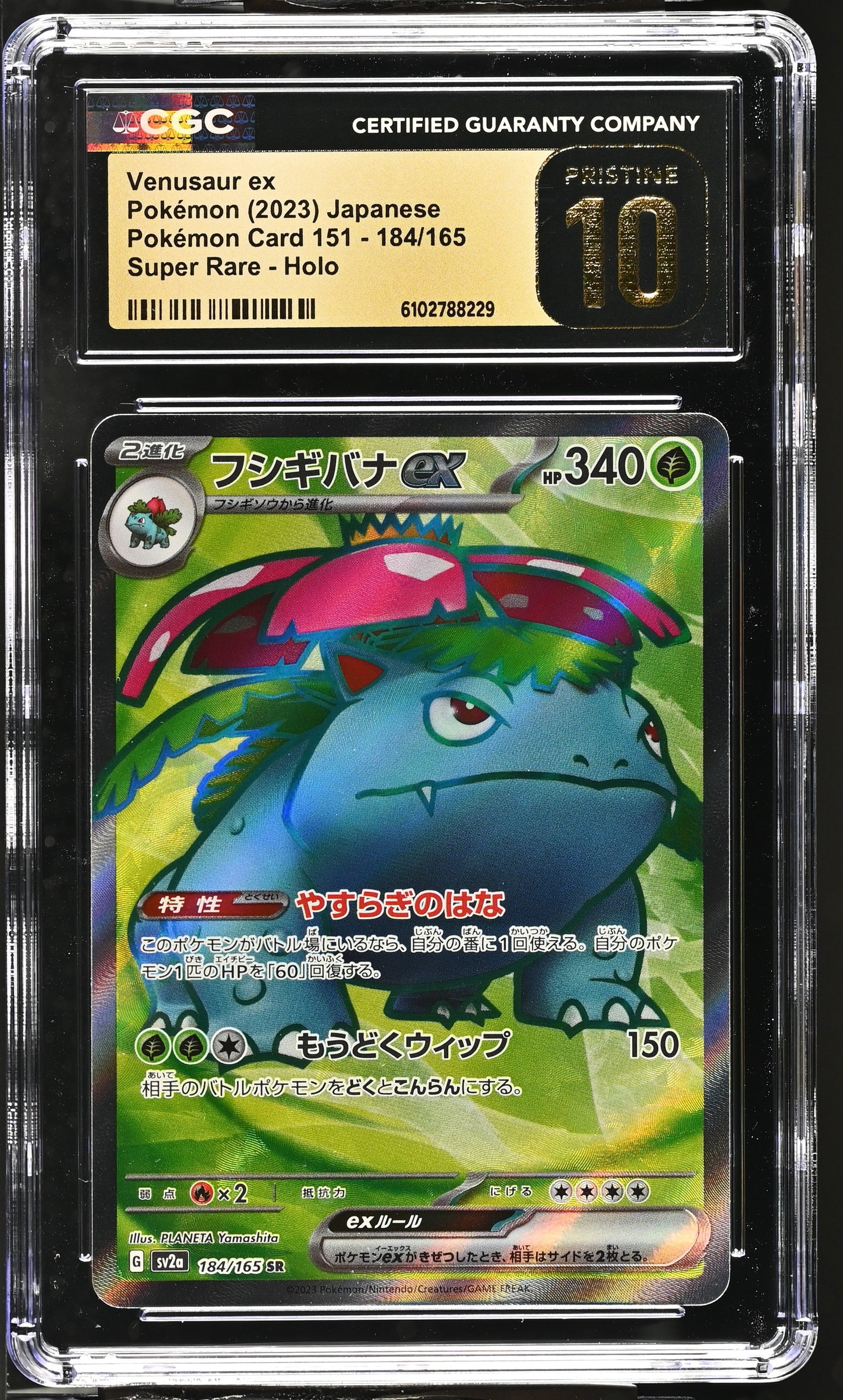 CGC Pristine 10 - 2023 Venusaur ex (#184/165)
